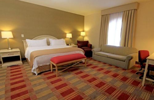 Monclova Hotel | Holiday Inn Monclova by IHG