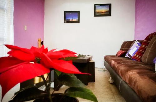 Zitacuaro Apartment | La Carreta Rica