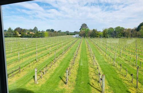 Opaki Bed & Breakfast | Le Grá Vineyard and Winery