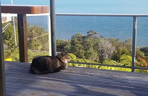 Whangaparaoa Resort | Private room ∙ 2 guests