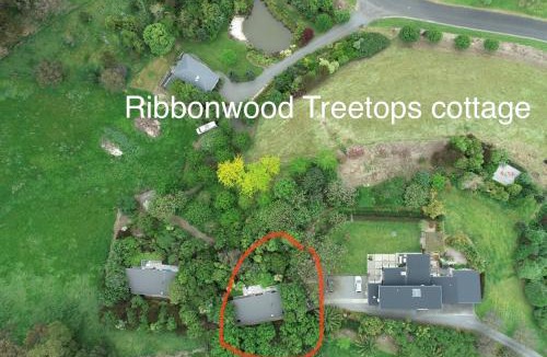 Havelock North House | Ribbonwood Treetops cottage