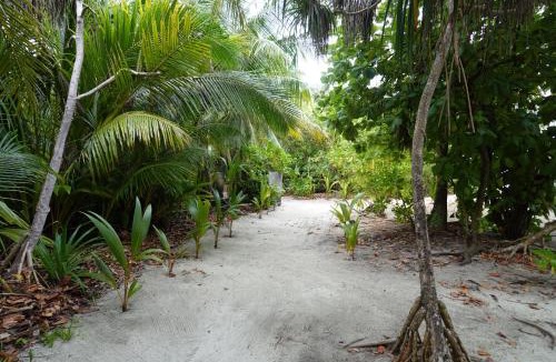Thinadhoo House | Stay Kora