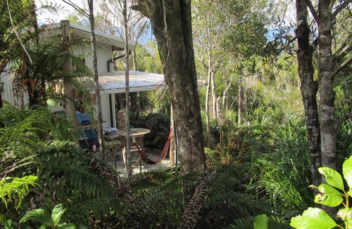 Charleston Cabin | Stay off the grid immersed in native flora and fauna