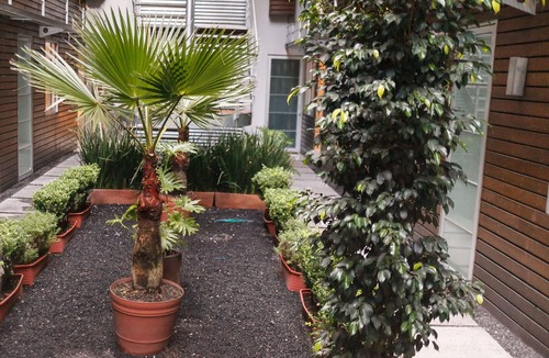 Roma Norte Apartment | Stunning duplex in the best area of Roma Norte