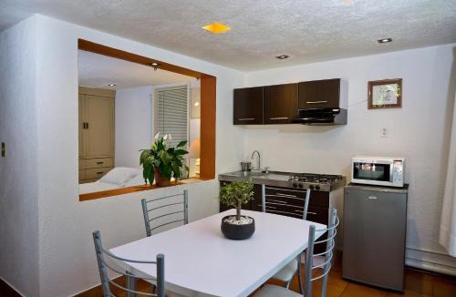 Campestre Apartment | Suite 4A, Terraza, Garden House, Welcome to San Angel