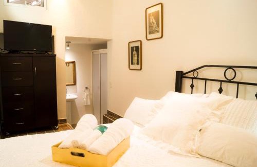 Campestre Apartment | Suite 5B, Cultura, Garden House, Welcome to San Angel