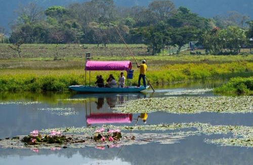 Xochimilco Boat Rental | TrajinerasNativitasAdventureTours