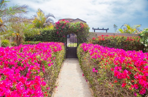 Cerritos Villa | Villa Piazzas Elegant Beachfront Home