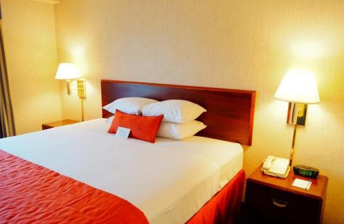 San Nicolas de los Garza Hotel | Wyndham Garden Monterrey Norte