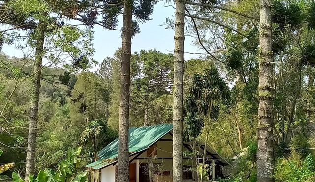 Gaia Point accommodation, come relax with your pet in a closed pet area!
