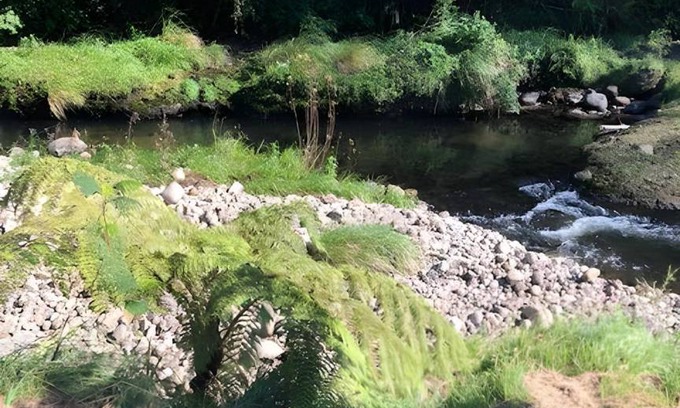New Plymouth Bed & Breakfast | 16 m² Bed and breakfast ∙ 2 guests