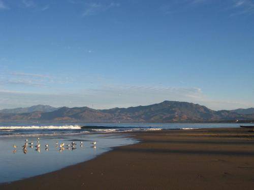 Barra de Potosi Bed & Breakfast | 40 m² Bed and breakfast ∙ 3 guests