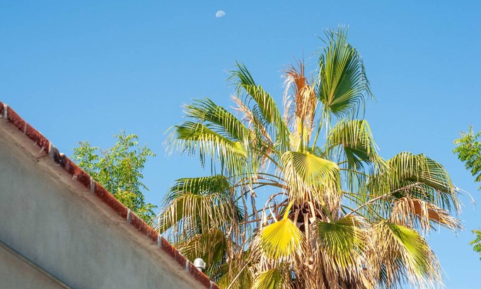 La Paz Hostel | Hostel ∙ 8 guests