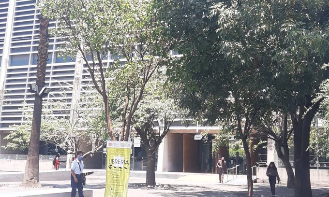 Downtown Mexico City Hostel | Hostel ∙ 8 guests
