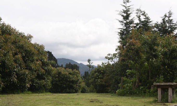 Katikati Hostel | Hostel ∙ 8 guests