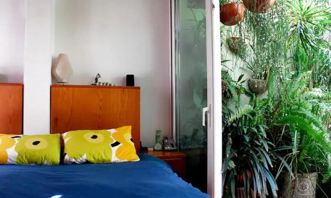 Roma Norte Apartment | Private green terrace at cozy duplex in ROMA’s heart