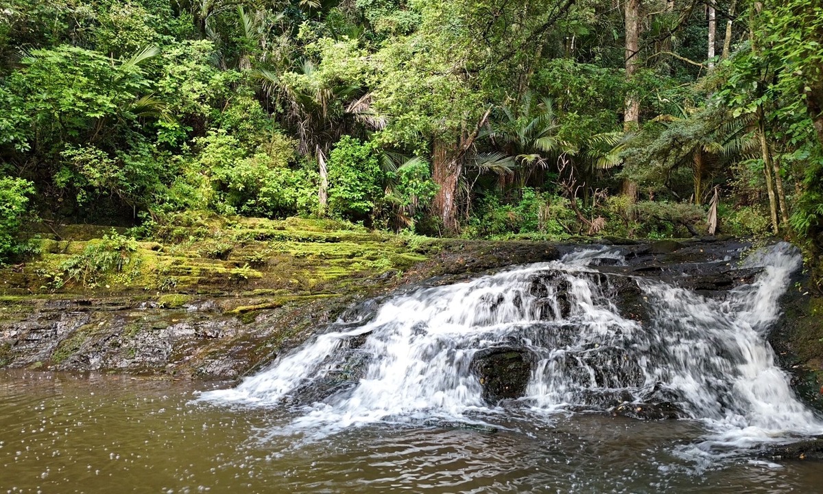 Warkworth Cabin | Hot Tub overlooking a waterfall, near beaches, vineyards, Matakana, Brick Bay