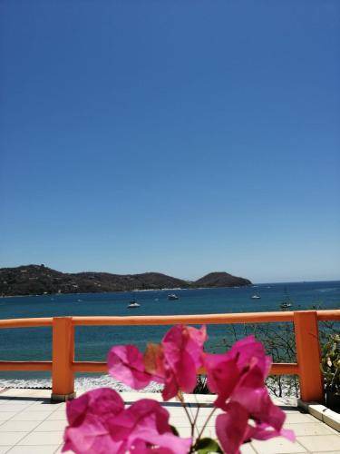 Photo of Others in Playa la Madera