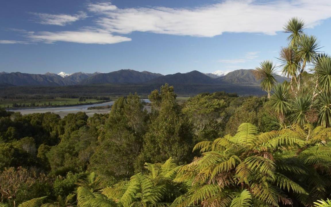 Photo of Others in Hokitika