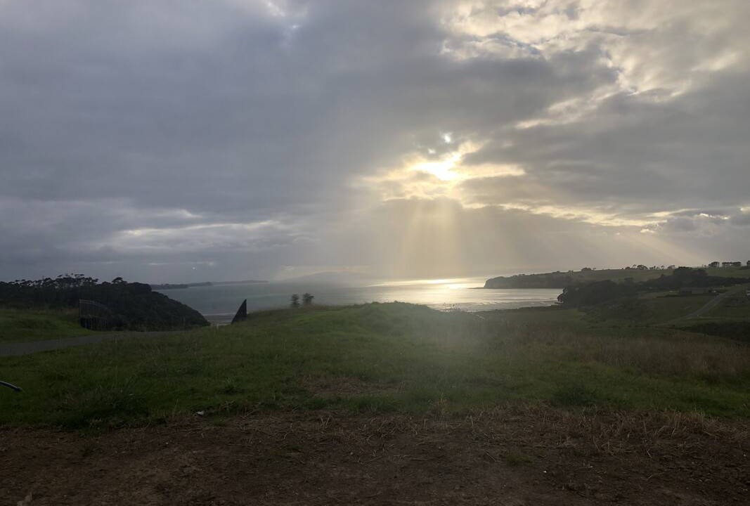 Photo of Others in Mahurangi West