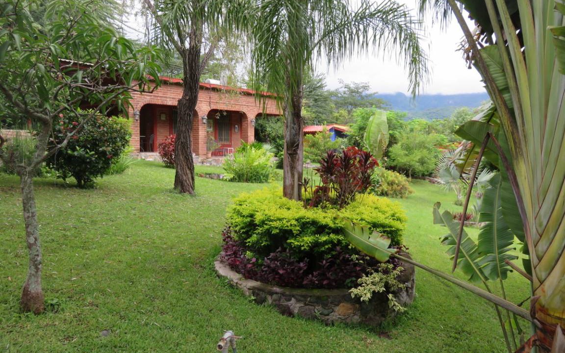 Photo of Others in La Laguna