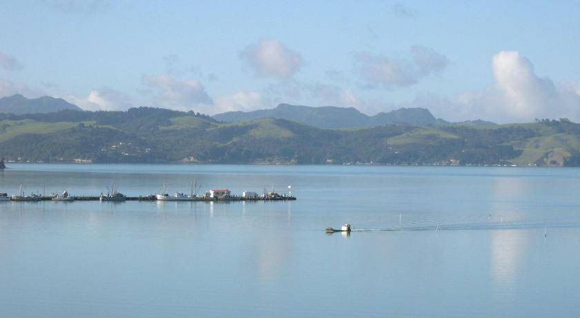 Photo of Others in Coromandel