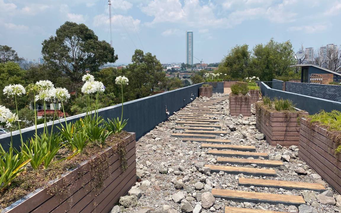 Photo of Others in Cuajimalpa