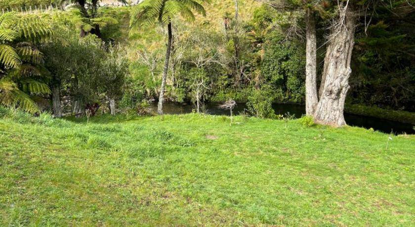Photo of Others in New Plymouth