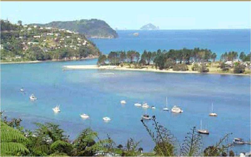 Photo of Others in Tairua