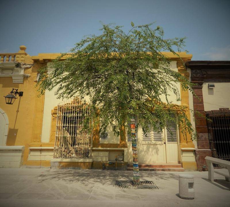 Photo of Others in Monterrey Antiguo