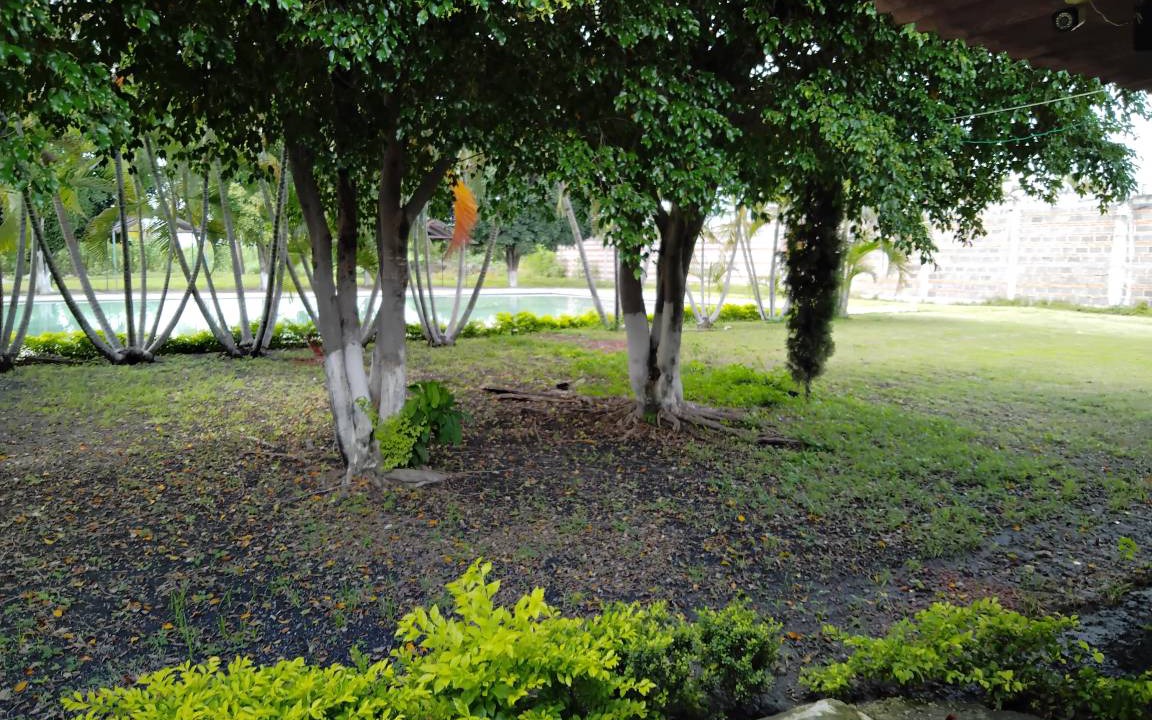 Photo of Others in Tlaquiltenango