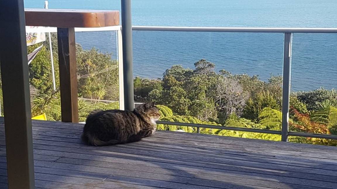 Photo of Others in Whangaparaoa