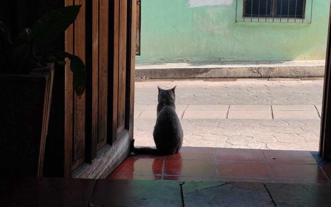 Photo of Others in De La Merced