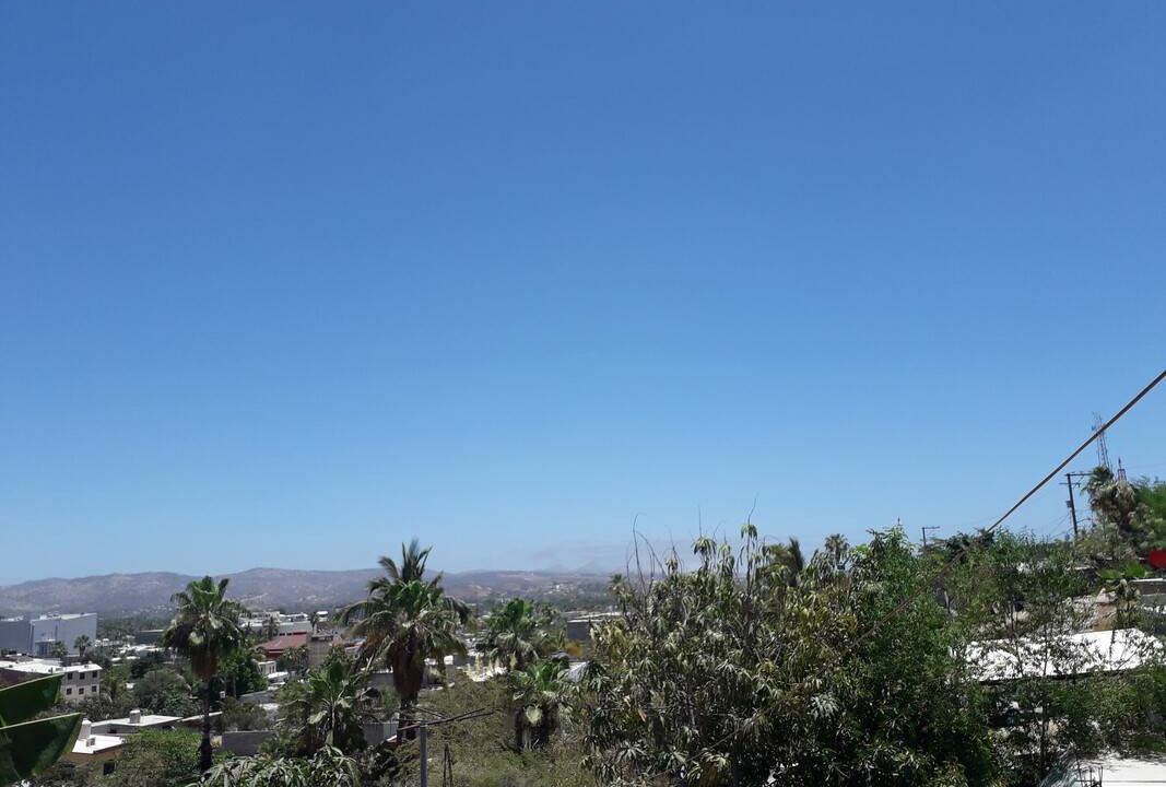 Photo of Others in Downtown San Jose del Cabo