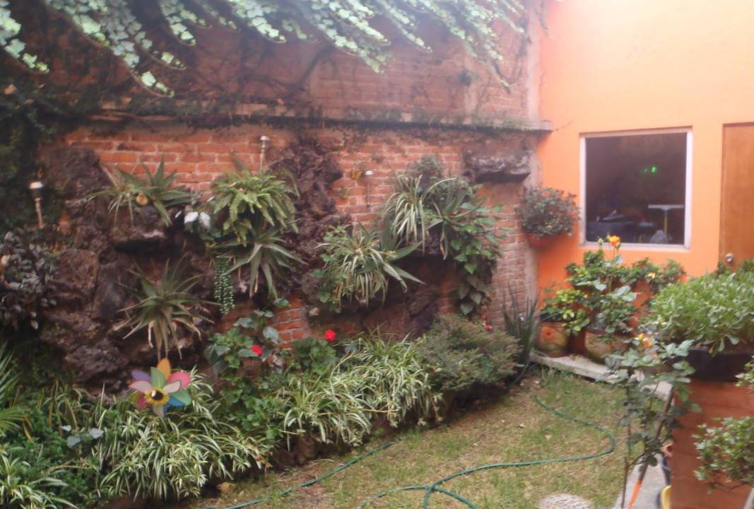 Photo of Others in Coyoacan