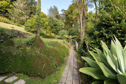 Photo of Others in Paihia