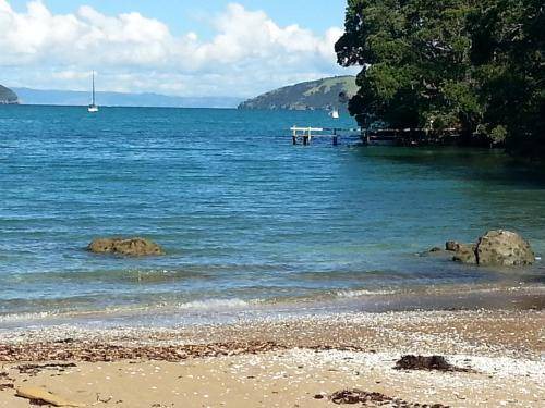 Photo of Others in Coromandel