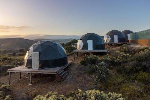 Photo of Others in Valle de Guadalupe
