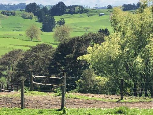 Photo of Outdoor in Rotowaro