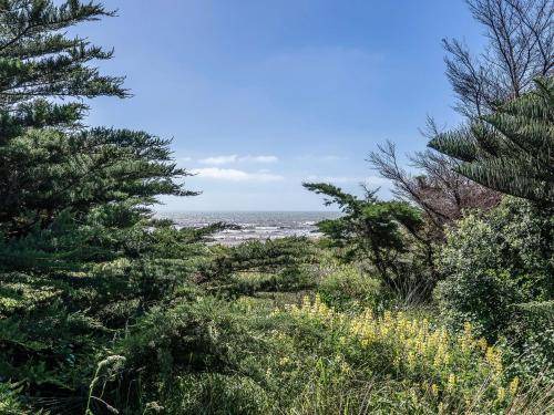 Photo of Others in Waikanae