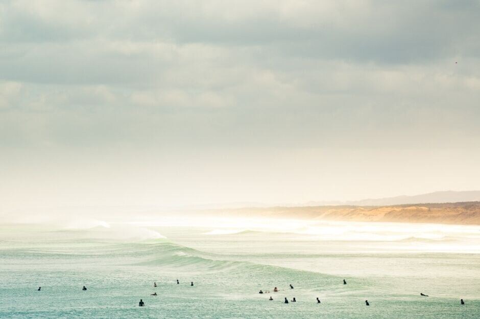 Photo of Outdoor in Muriwai