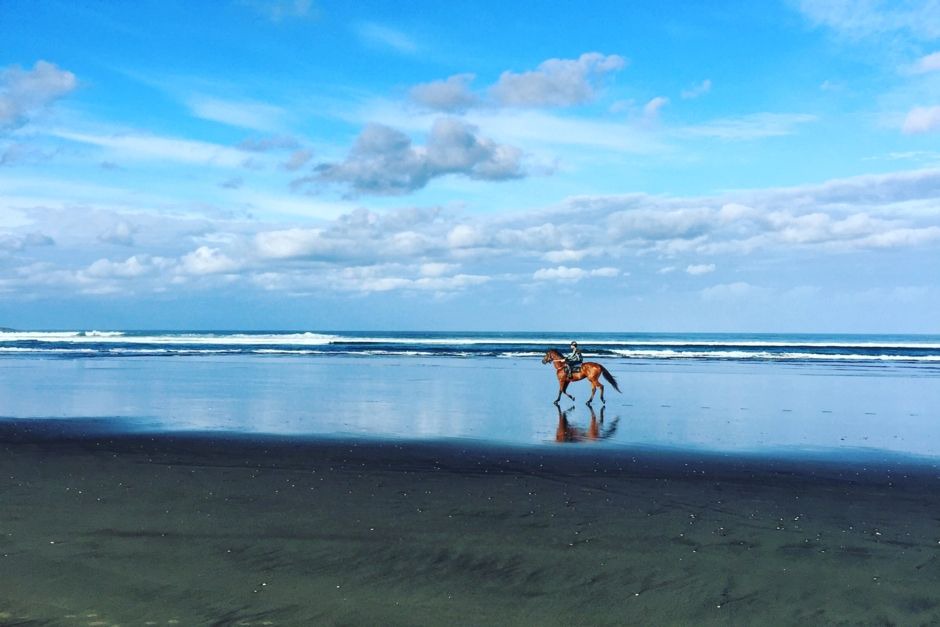 Photo of Outdoor in Muriwai
