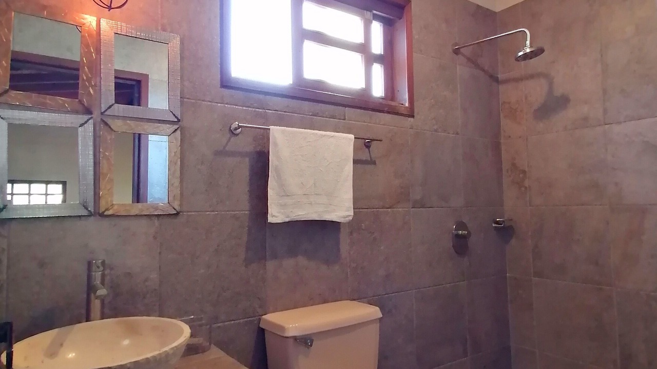 Photo of Bathroom in Mascota