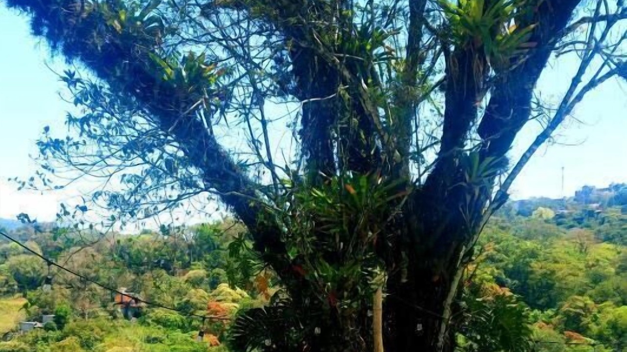 Photo of Outdoor in Xilitla