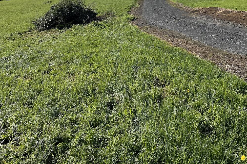 Photo of Outdoor in Waikato District
