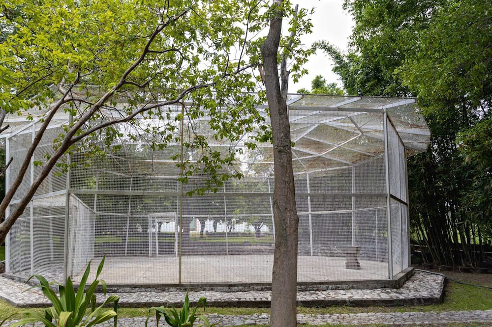 Photo of Others in Yautepec