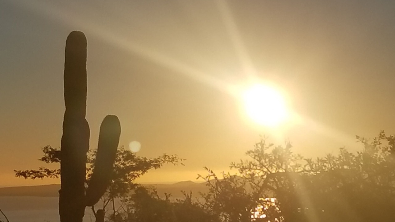 Photo of Others in La Ventana
