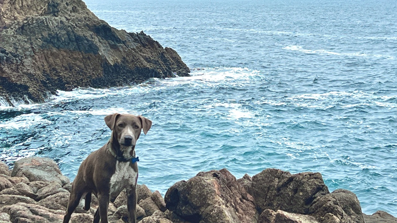 Photo of Others in Ensenada