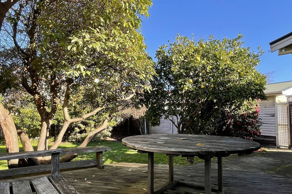 Photo of Outdoor in Petone