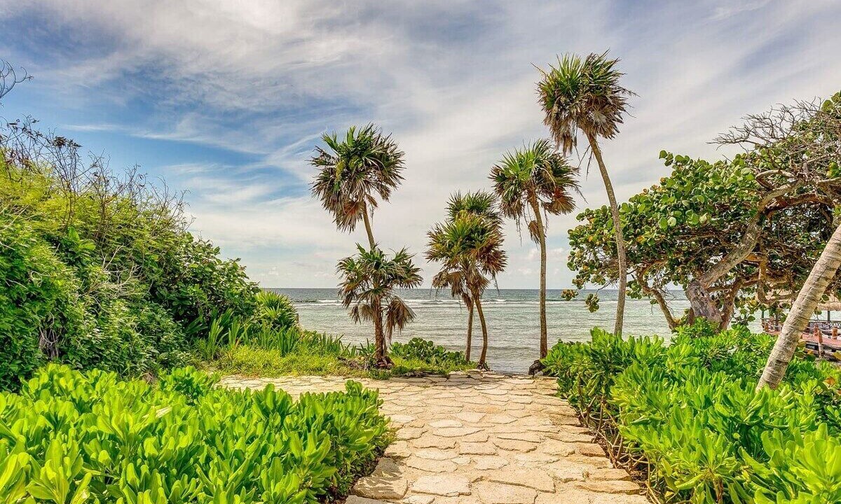 Photo of Outdoor in Akumal
